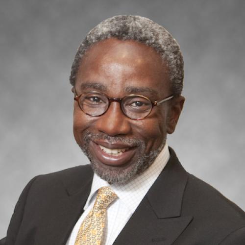 Babatunde A. Ogunnaike