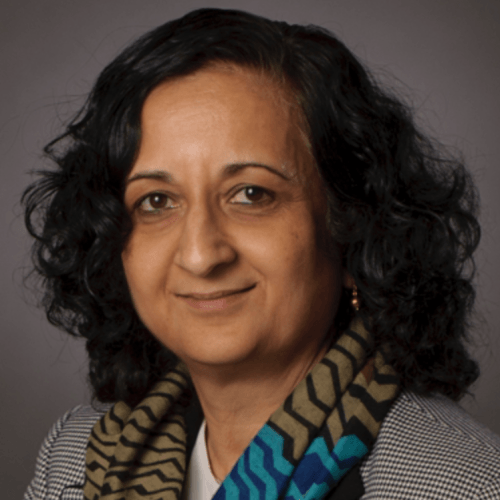 Anuradha Annaswamy