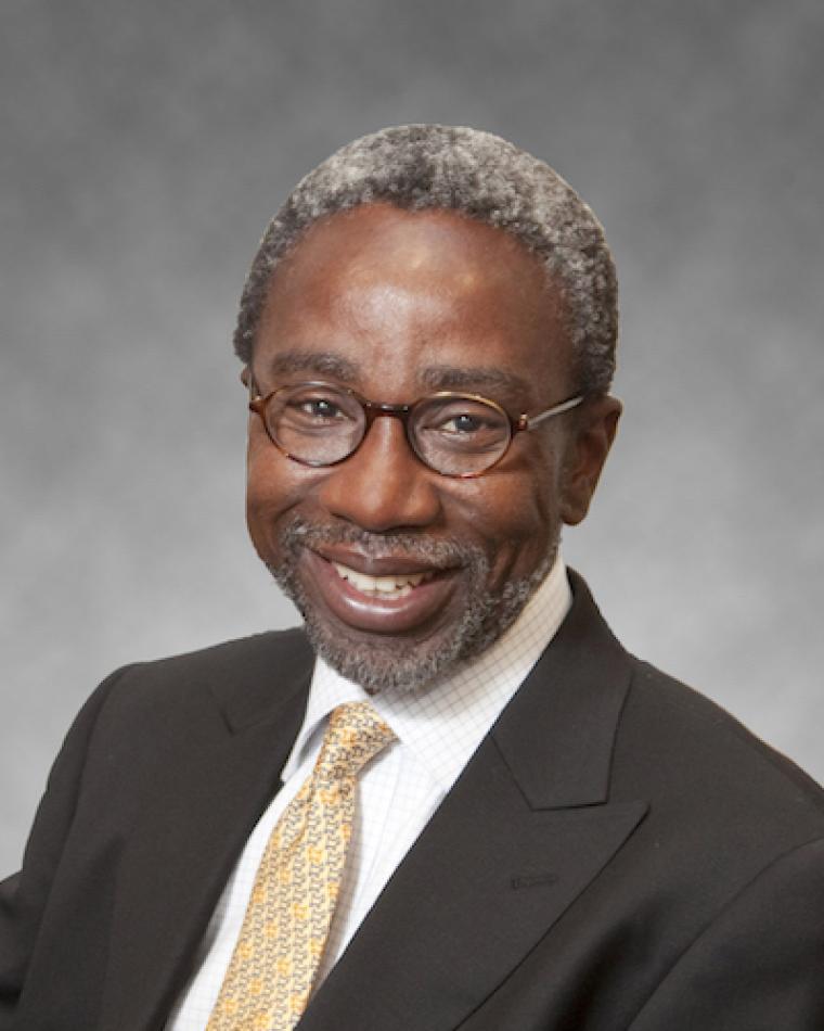 Babatunde A. Ogunnaike