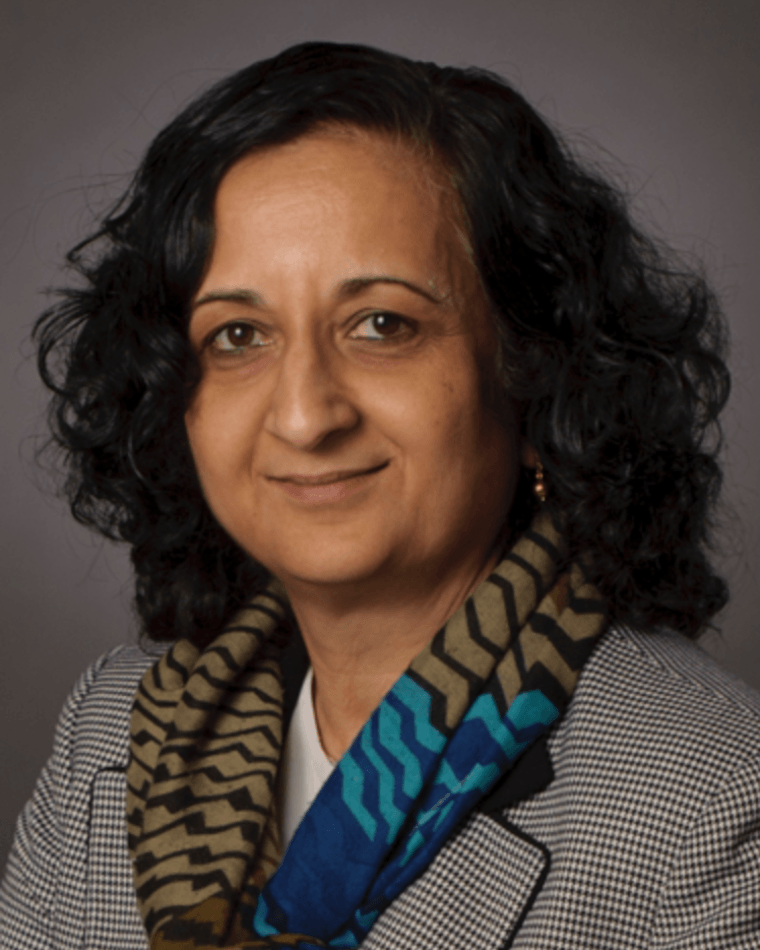 Anuradha Annaswamy